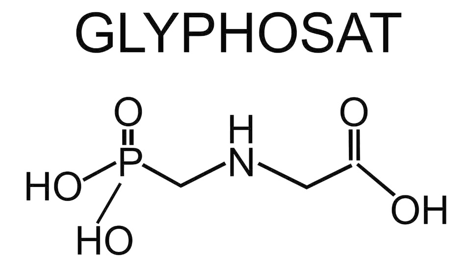 Glyphosat als eine Ursache für Eosinophile Ösophagitis (EoE)?
